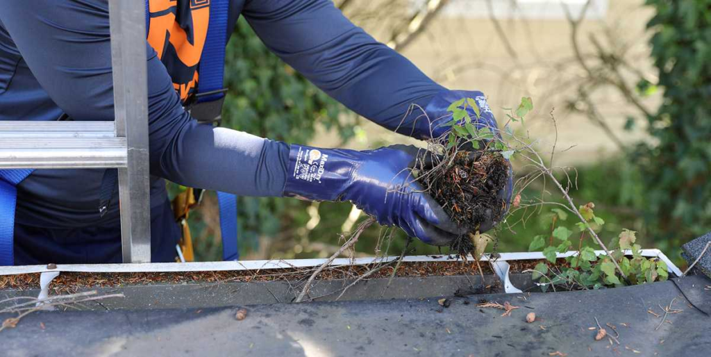 gutter cleaning